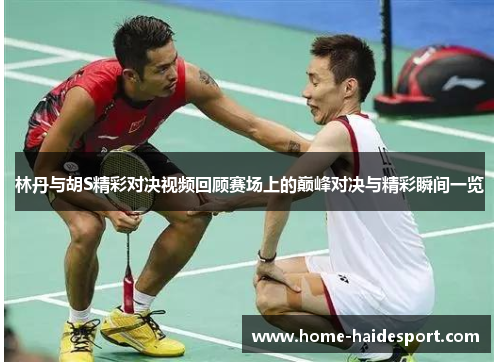 林丹与胡S精彩对决视频回顾赛场上的巅峰对决与精彩瞬间一览